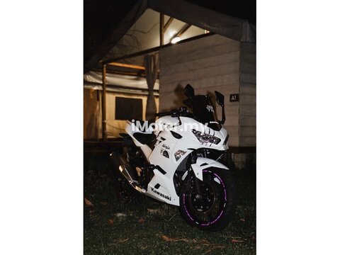 2024 Kawasaki Ninja 250